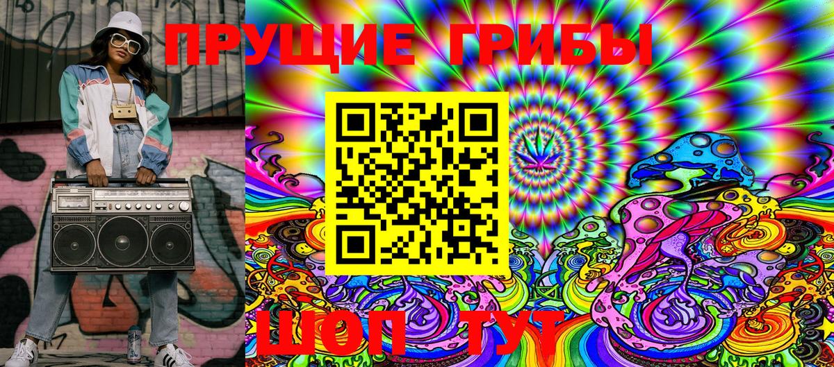 Жигулёвск  Псилоцибиновые грибы Psilocybine cubensis  Вход с VPN 